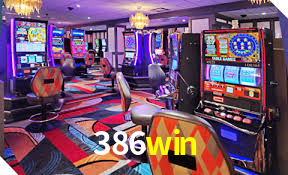 Programa VIP 386win